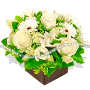 Композиция на оазисе в белых тонах из лилии ,розы и герберы  Композиция на оазисе в белых тонах из лилии ,розы и герберы