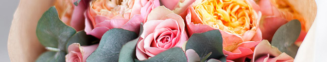 купить цветы Шотландия от Grand-flora